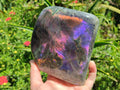 Polished Large Rare Purple Sunset Flash Labradorite Standing Display Piece x 1 From Madagascar