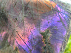 Polished Large Rare Purple Sunset Flash Labradorite Standing Display Piece x 1 From Madagascar