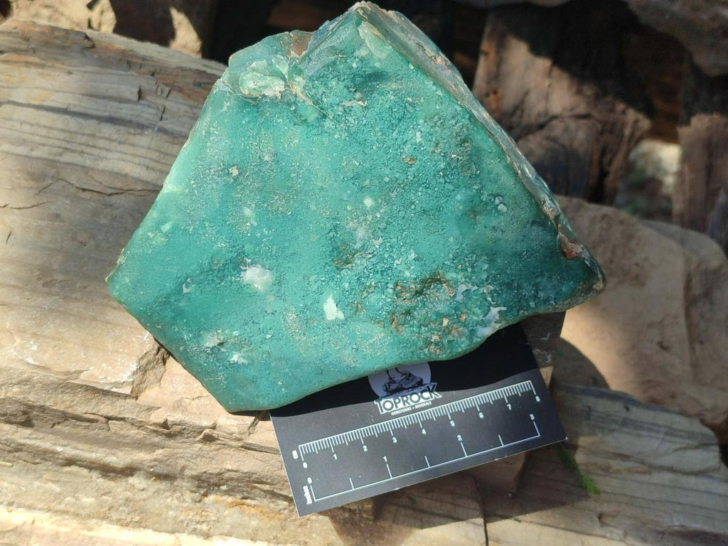 Polished One Side Great Dyke Mtorolite Chrysoprase Slices x 2 From Great Dyke Mountain Range, Zimbabwe