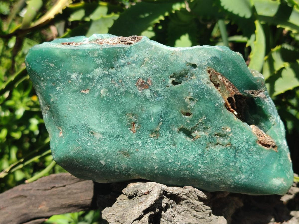 Polished One Side Great Dyke Mtorolite Chrysoprase Slices x 2 From Great Dyke Mountain Range, Zimbabwe