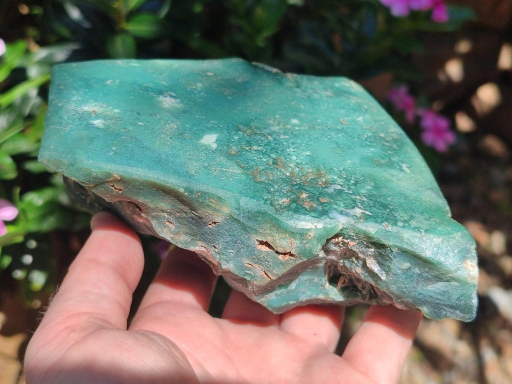Polished One Side Great Dyke Mtorolite Chrysoprase Slices x 2 From Great Dyke Mountain Range, Zimbabwe