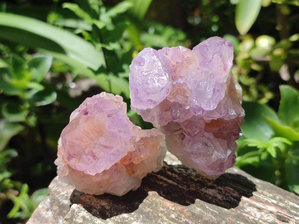 Natural Sunburst Amethyst Spirit Clusters x 12 From Boekenhouthoek, South Africa - Toprock Gemstones and Minerals 
