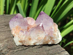 Natural Sunburst Amethyst Spirit Clusters x 12 From Boekenhouthoek, South Africa - Toprock Gemstones and Minerals 