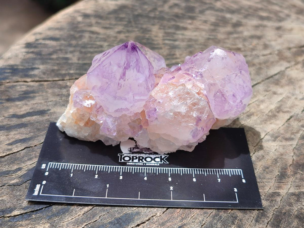 Natural Sunburst Amethyst Spirit Clusters x 12 From Boekenhouthoek, South Africa - Toprock Gemstones and Minerals 
