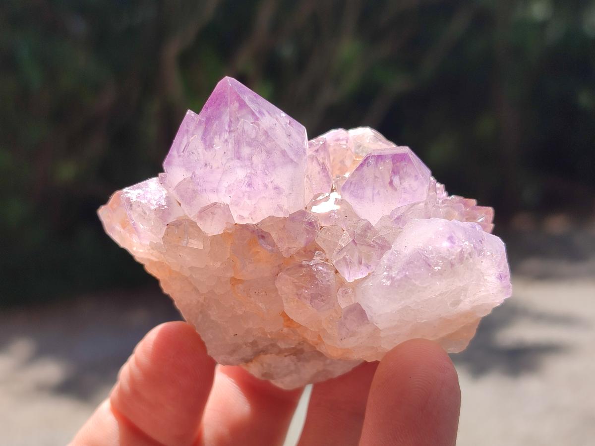 Natural Sunburst Amethyst Spirit Clusters x 12 From Boekenhouthoek, South Africa