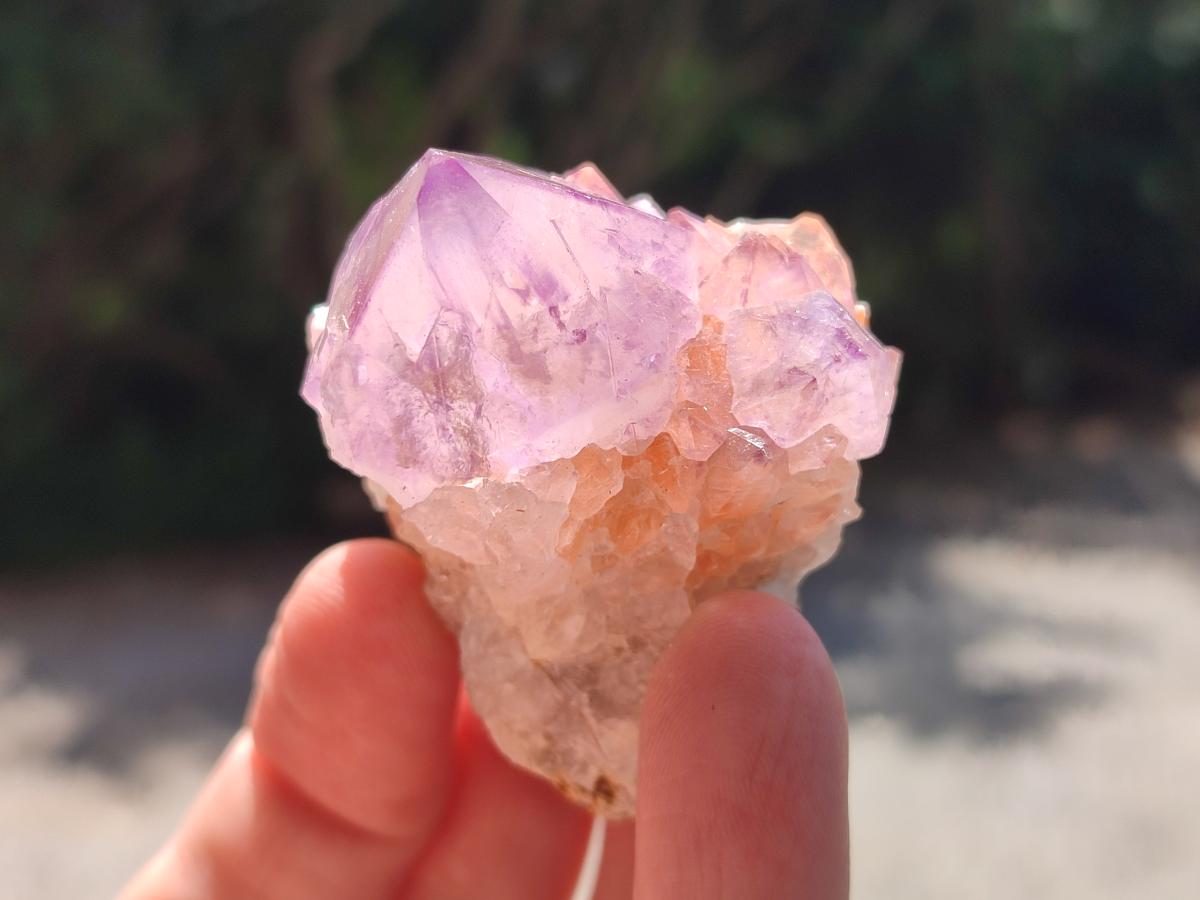 Natural Sunburst Amethyst Spirit Clusters x 12 From Boekenhouthoek, South Africa