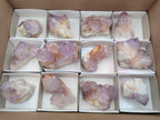 Natural Sunburst Amethyst Spirit Clusters x 12 From Boekenhouthoek, South Africa - Toprock Gemstones and Minerals 
