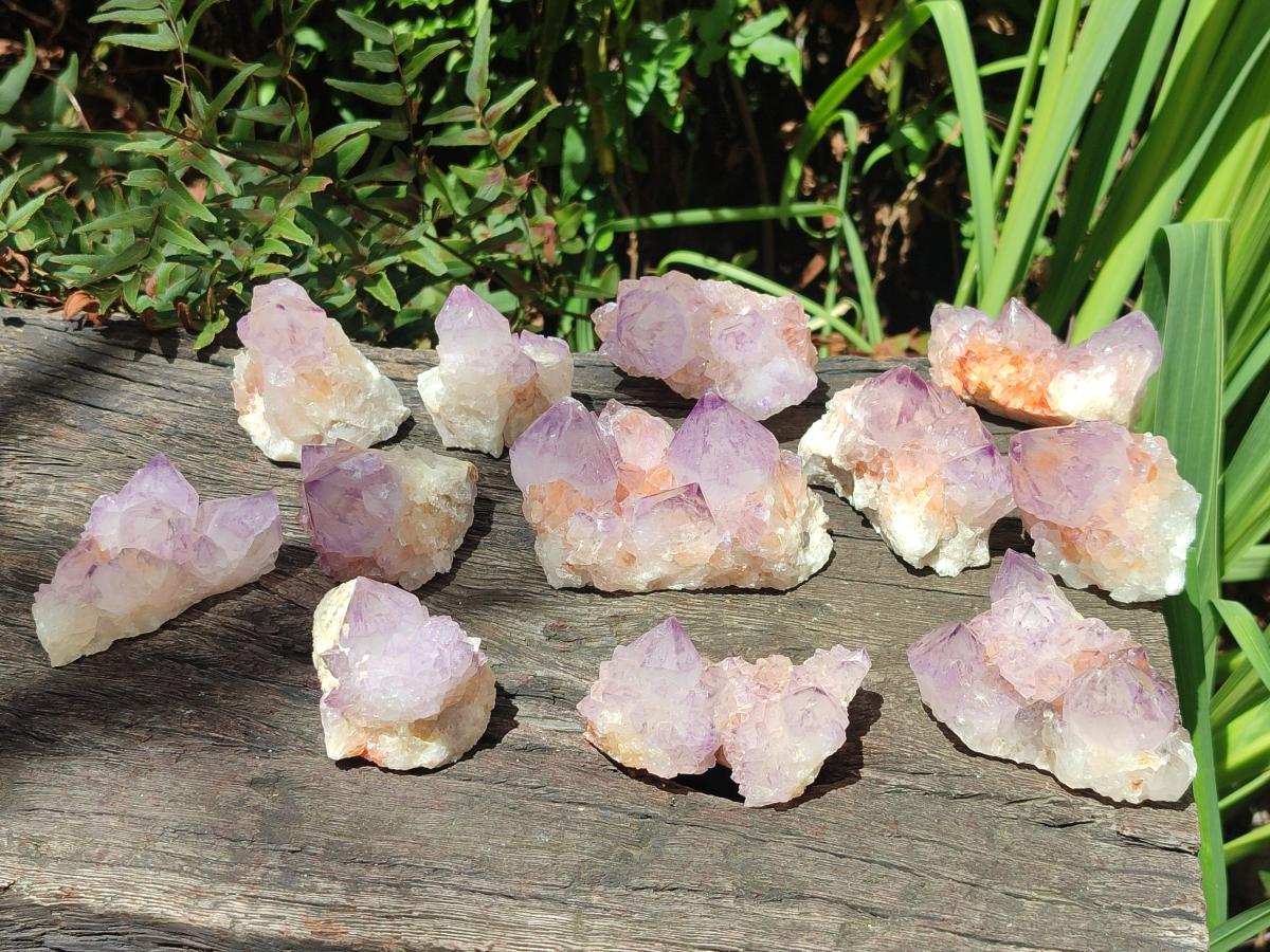 Natural Sunburst Amethyst Spirit Clusters x 12 From Boekenhouthoek, South Africa - Toprock Gemstones and Minerals 