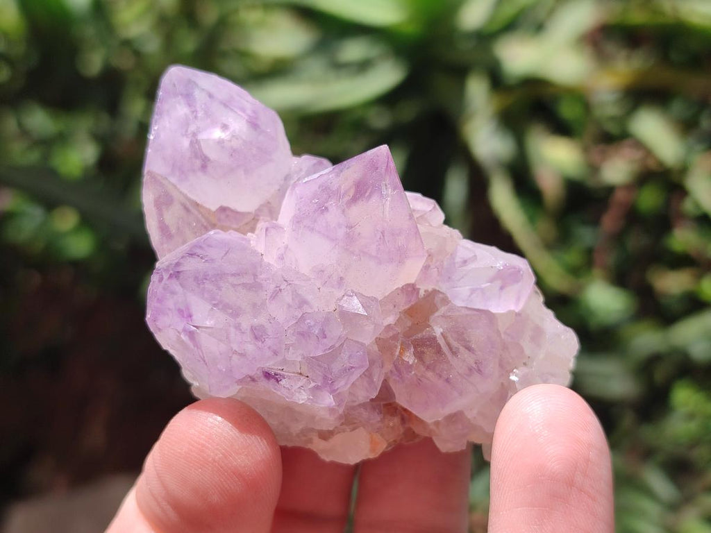 Natural Sunburst Amethyst Spirit Clusters x 12 From Boekenhouthoek, South Africa - Toprock Gemstones and Minerals 