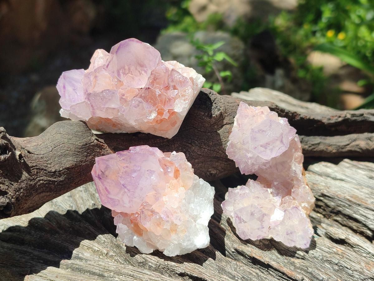 Natural Sunburst Amethyst Spirit Clusters x 12 From Boekenhouthoek, South Africa - Toprock Gemstones and Minerals 