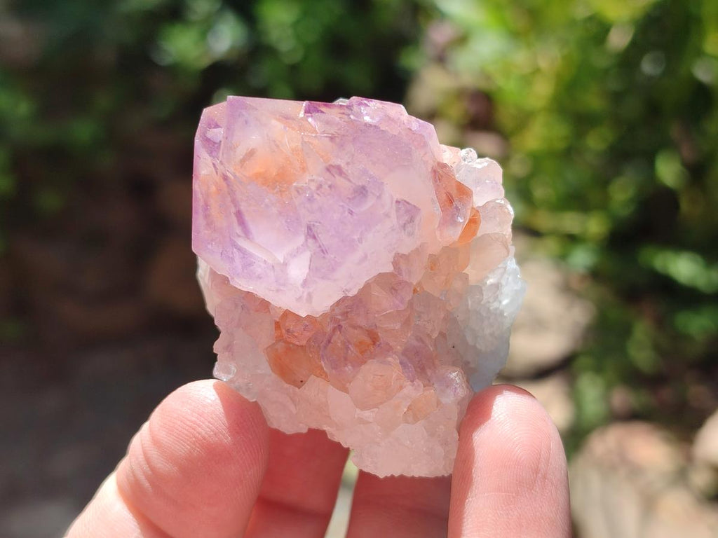 Natural Sunburst Amethyst Spirit Clusters x 12 From Boekenhouthoek, South Africa - Toprock Gemstones and Minerals 