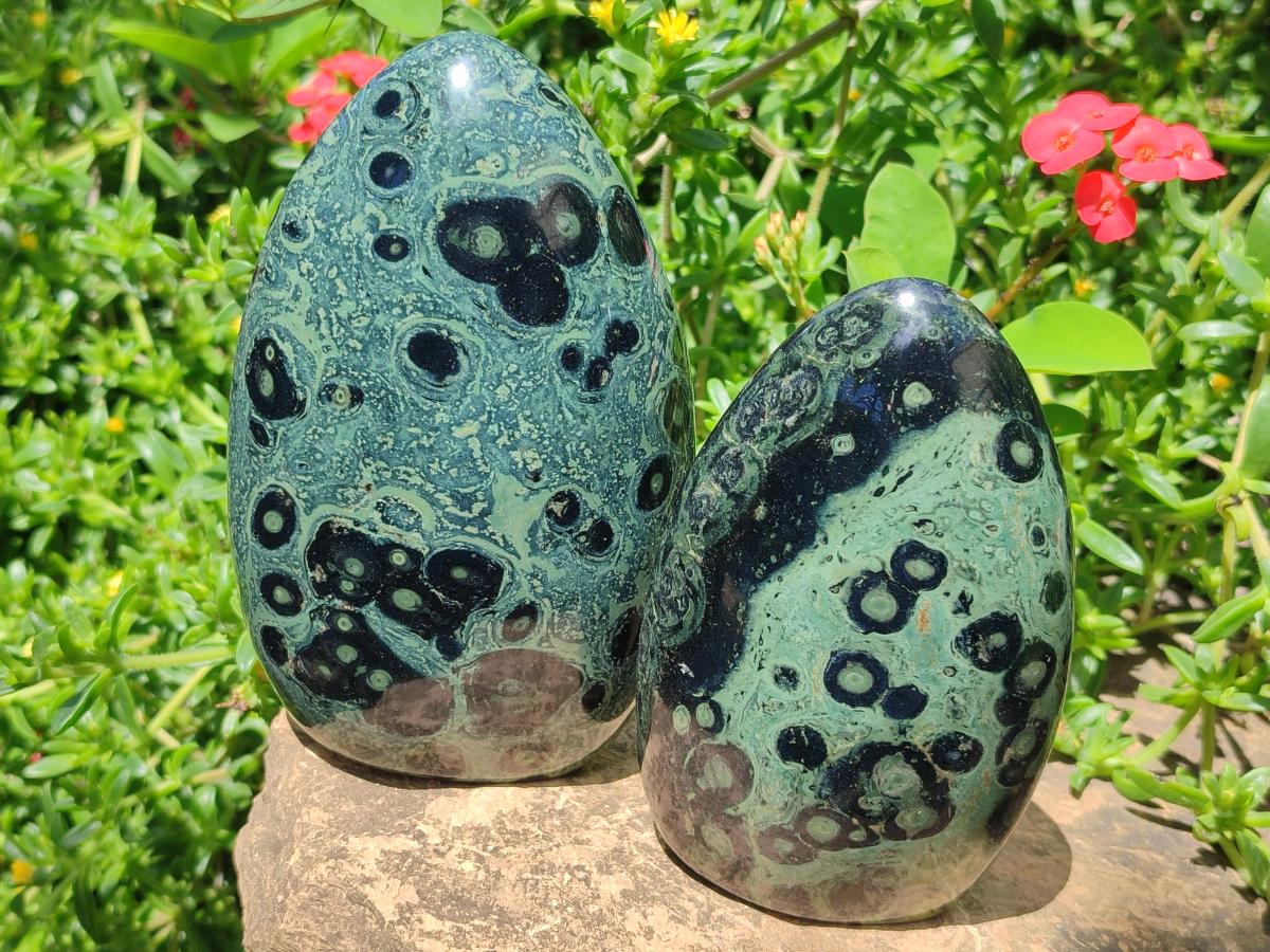 Polished Stromatolite Standing Display Pieces x 3 From Katsepy, Madagascar - Toprock Gemstones and Minerals 