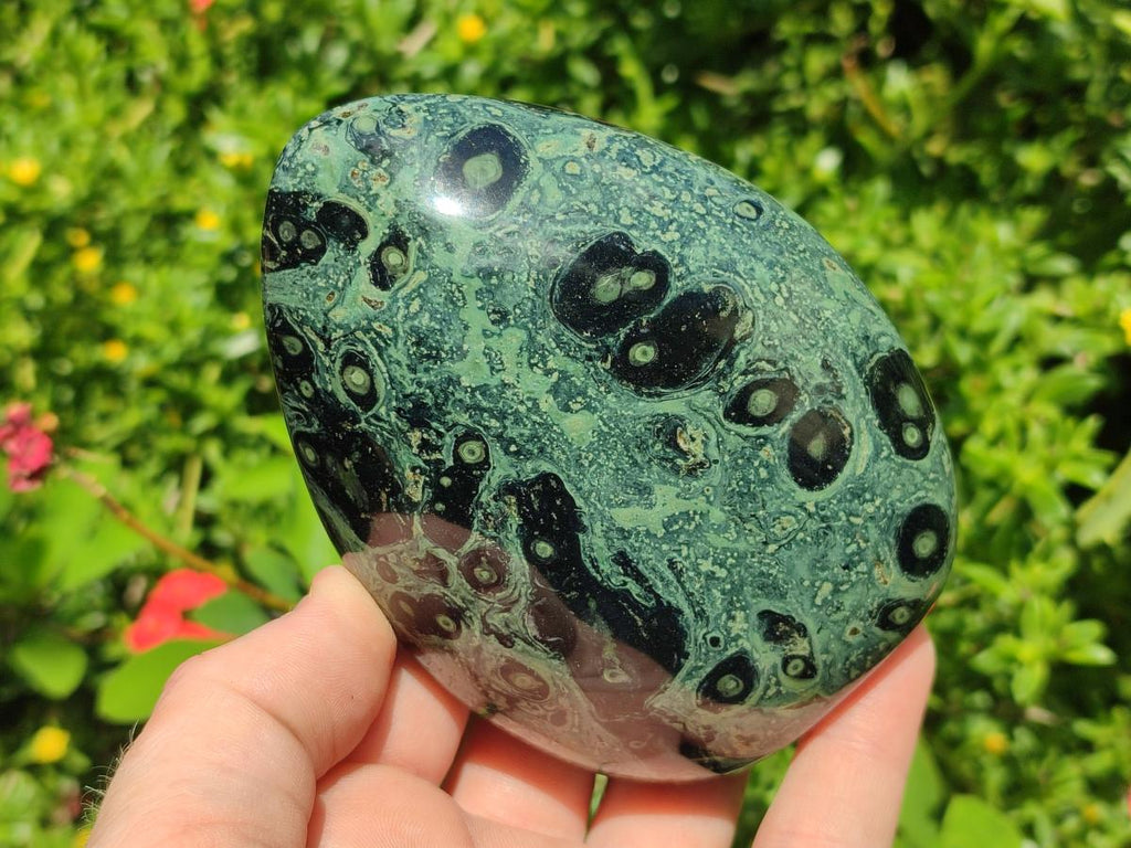 Polished Stromatolite Standing Display Pieces x 3 From Katsepy, Madagascar - Toprock Gemstones and Minerals 