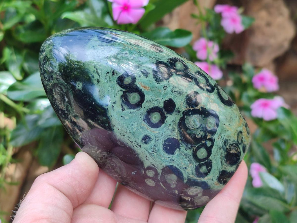 Polished Stromatolite Standing Display Pieces x 3 From Katsepy, Madagascar - Toprock Gemstones and Minerals 
