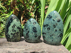 Polished Stromatolite Standing Display Pieces x 3 From Katsepy, Madagascar - Toprock Gemstones and Minerals 