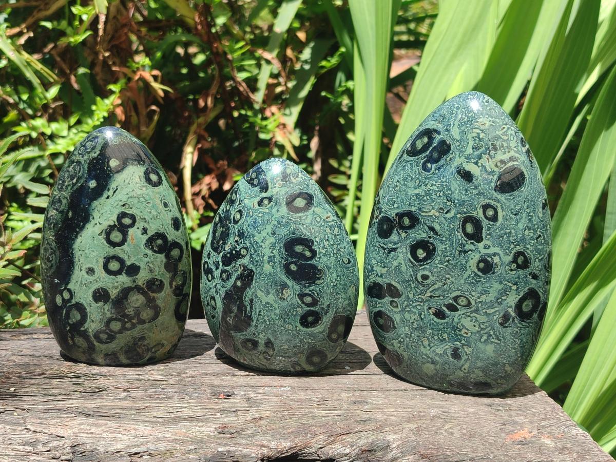 Polished Stromatolite Standing Display Pieces x 3 From Katsepy, Madagascar - Toprock Gemstones and Minerals 