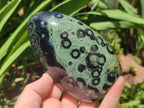 Polished Stromatolite Standing Display Pieces x 3 From Katsepy, Madagascar - Toprock Gemstones and Minerals 