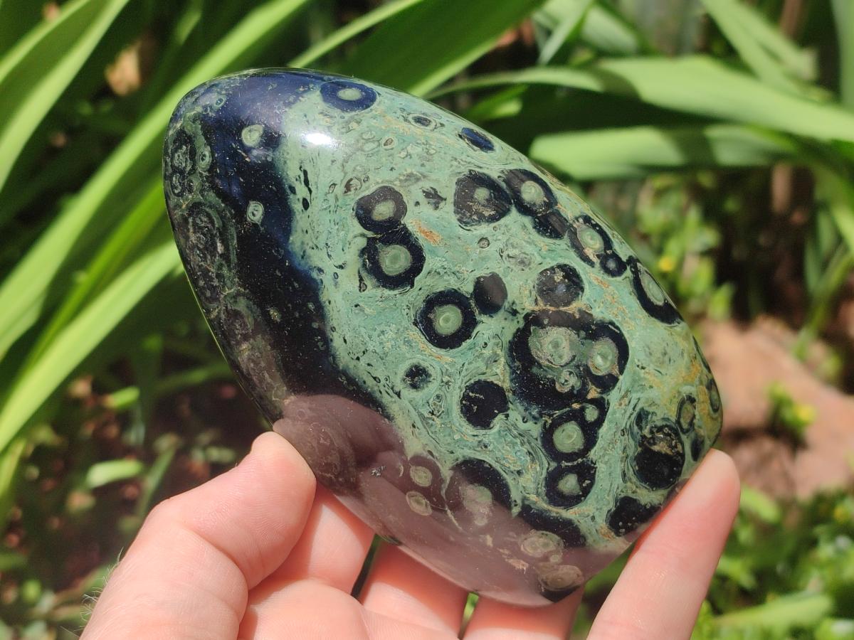 Polished Stromatolite Standing Display Pieces x 3 From Katsepy, Madagascar - Toprock Gemstones and Minerals 