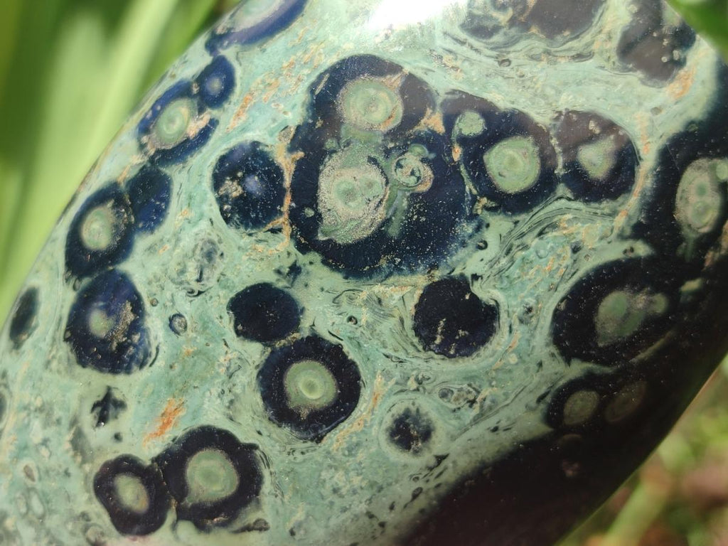 Polished Stromatolite Standing Display Pieces x 3 From Katsepy, Madagascar - Toprock Gemstones and Minerals 