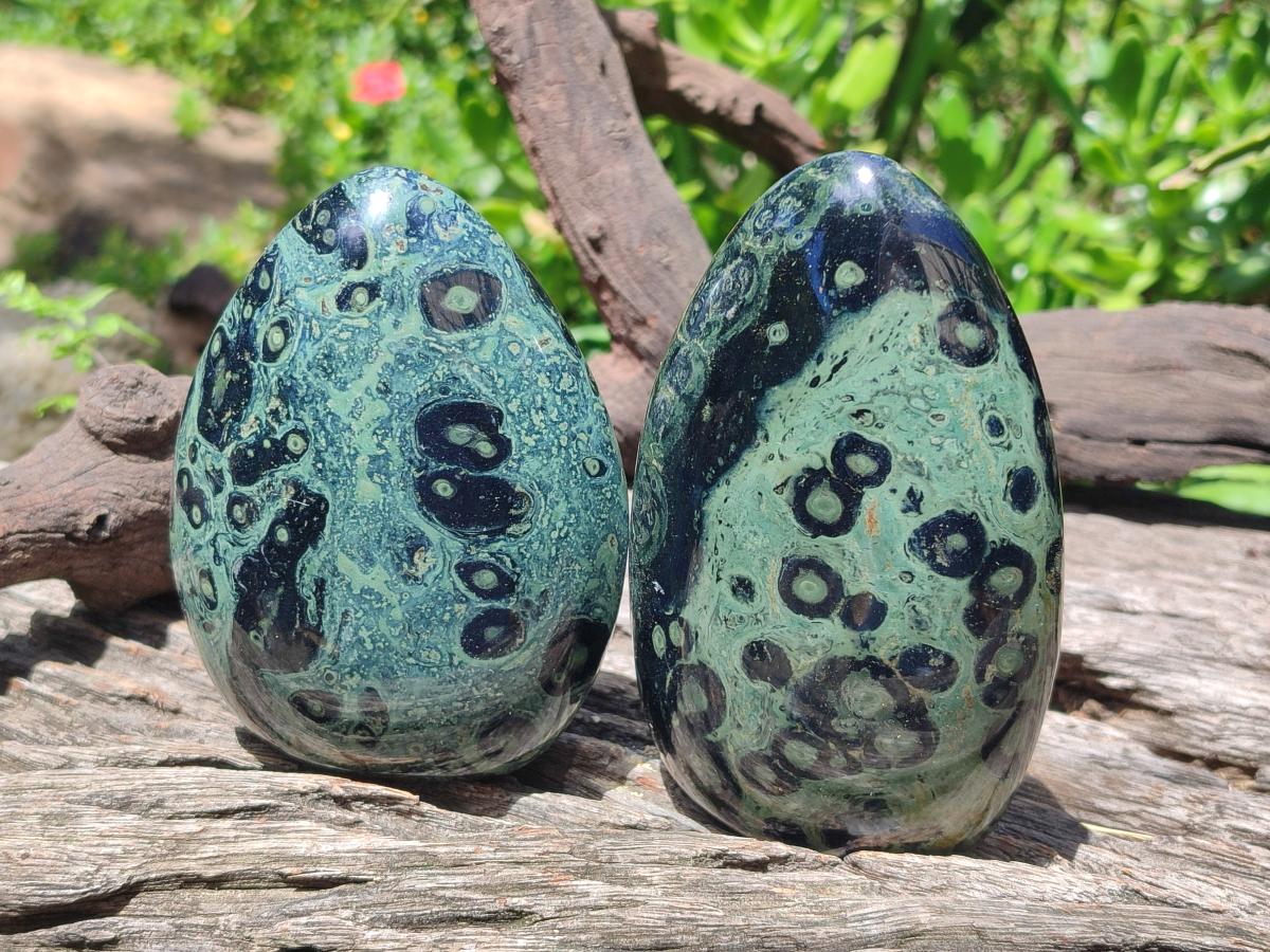 Polished Stromatolite Standing Display Pieces x 3 From Katsepy, Madagascar