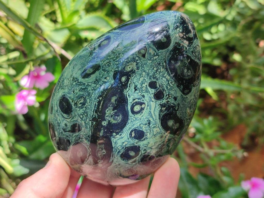 Polished Stromatolite Standing Display Pieces x 3 From Katsepy, Madagascar - Toprock Gemstones and Minerals 