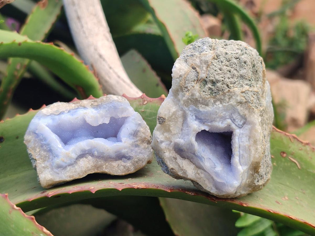 Natural Blue Lace Agate Geodes and Vug Specimens x 24 From Nsanje, Malawi