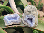 Natural Blue Lace Agate Geodes and Vug Specimens x 24 From Nsanje, Malawi