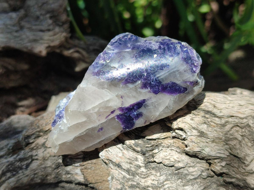 Polished One Side Silver Leaf Lepidolite Domed Nodules x 24 From Zimbabwe