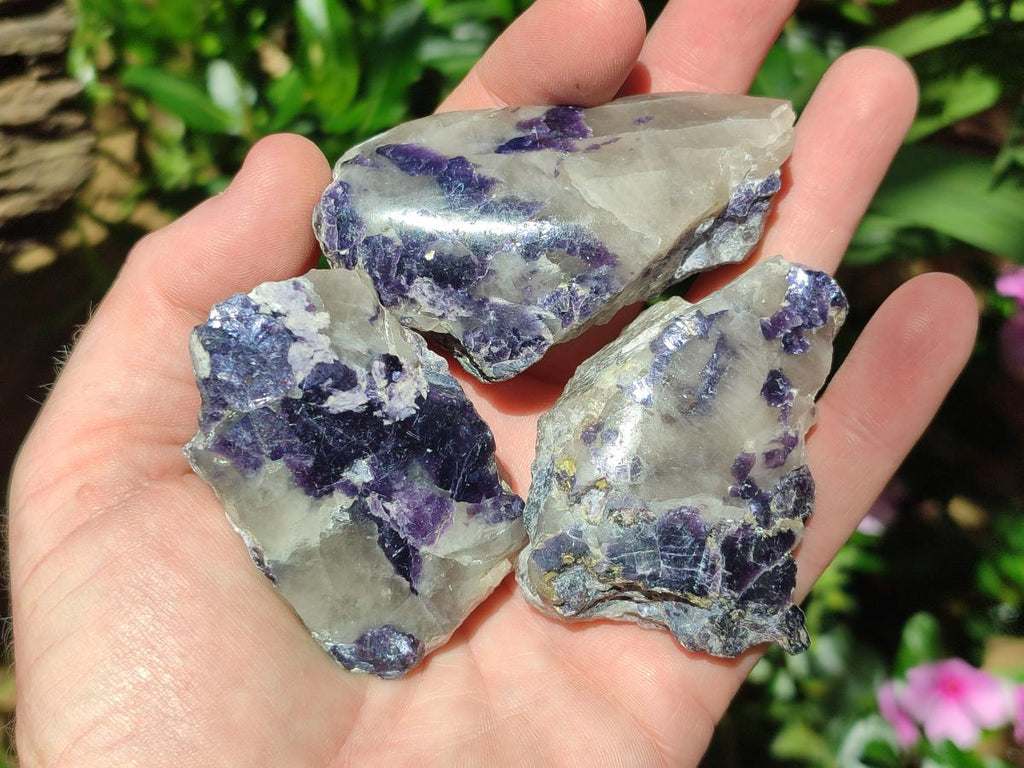 Polished One Side Silver Leaf Lepidolite Domed Nodules x 24 From Zimbabwe