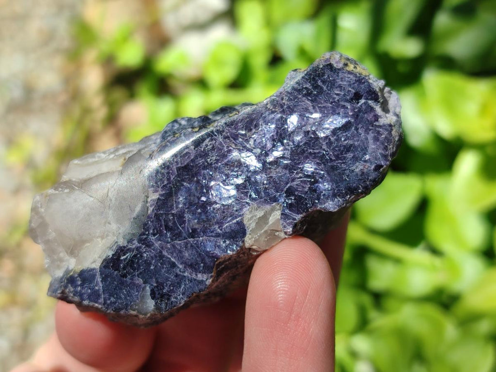 Polished One Side Silver Leaf Lepidolite Domed Nodules x 24 From Zimbabwe