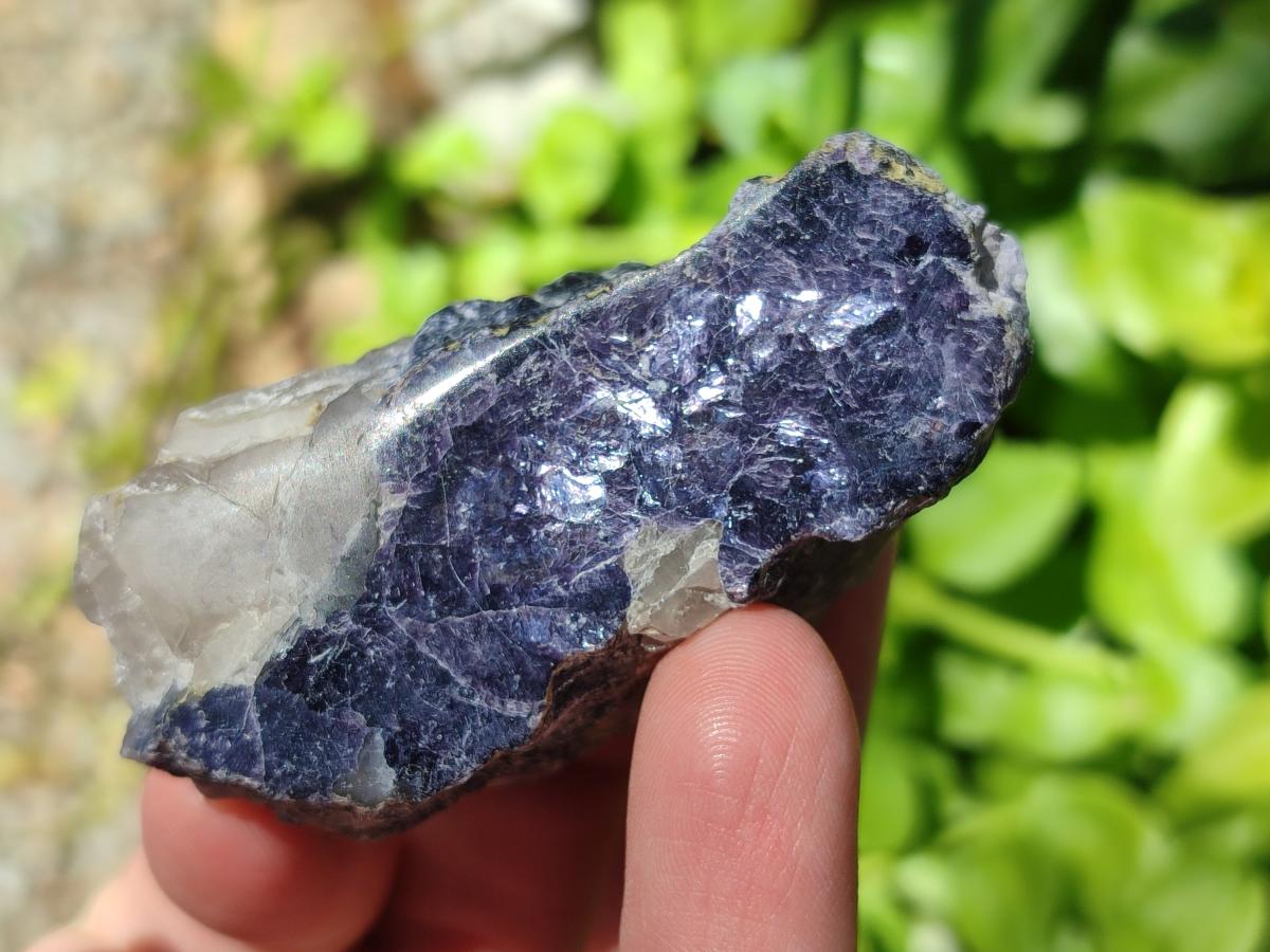 Polished One Side Silver Leaf Lepidolite Domed Nodules x 24 From Zimbabwe