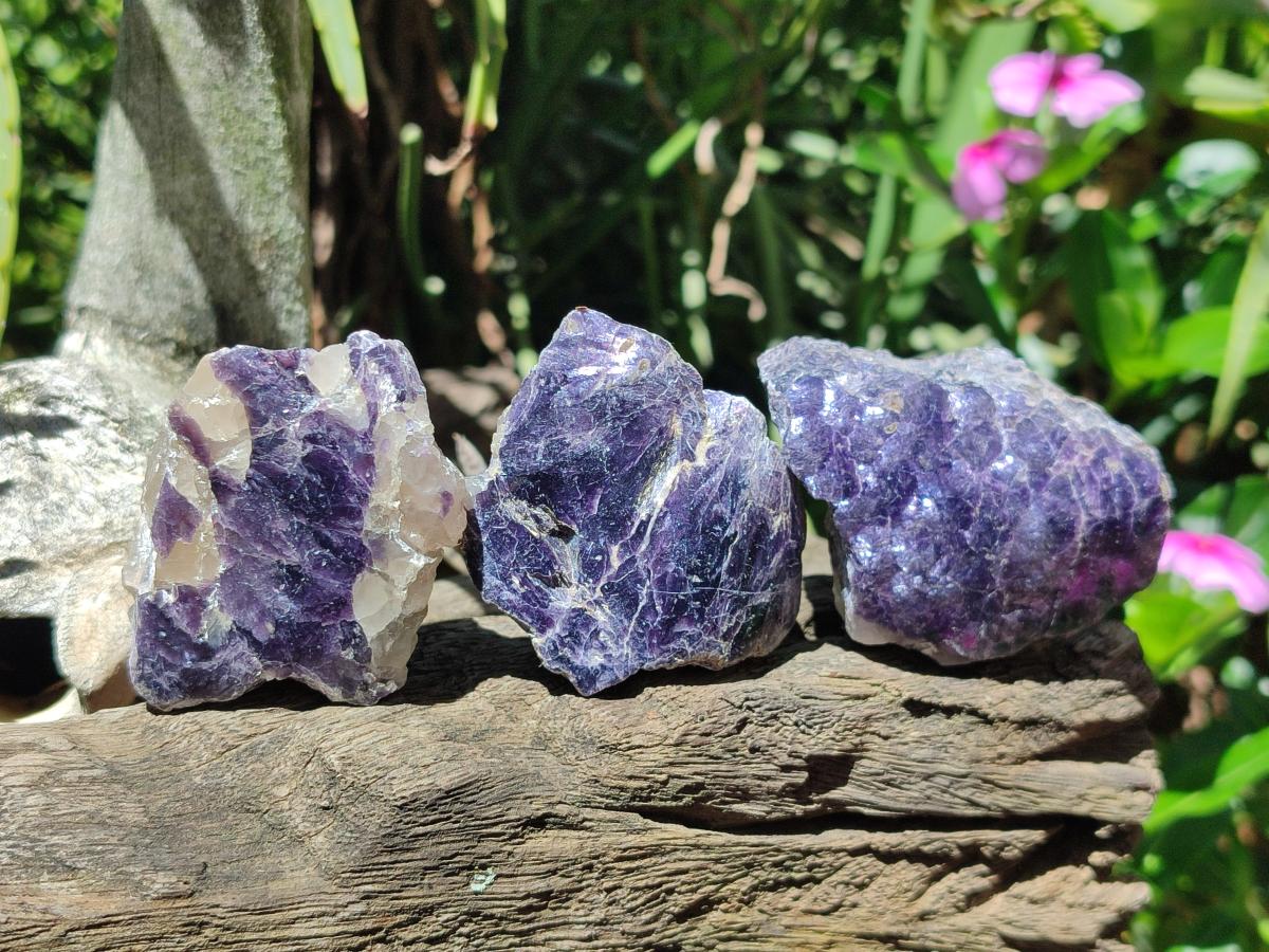 Polished One Side Silver Leaf Lepidolite Domed Nodules x 24 From Zimbabwe