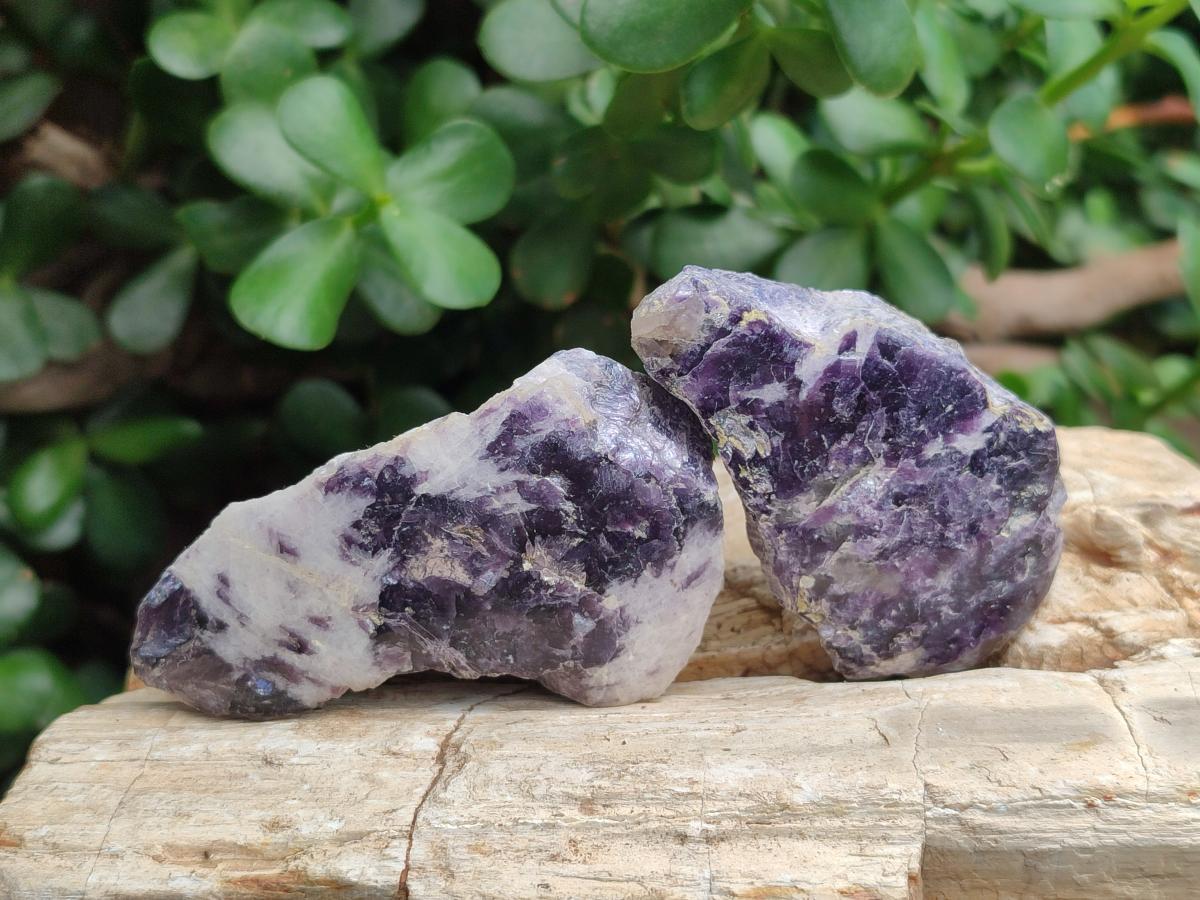 Polished One Side Silver Leaf Lepidolite Domed Nodules x 24 From Zimbabwe