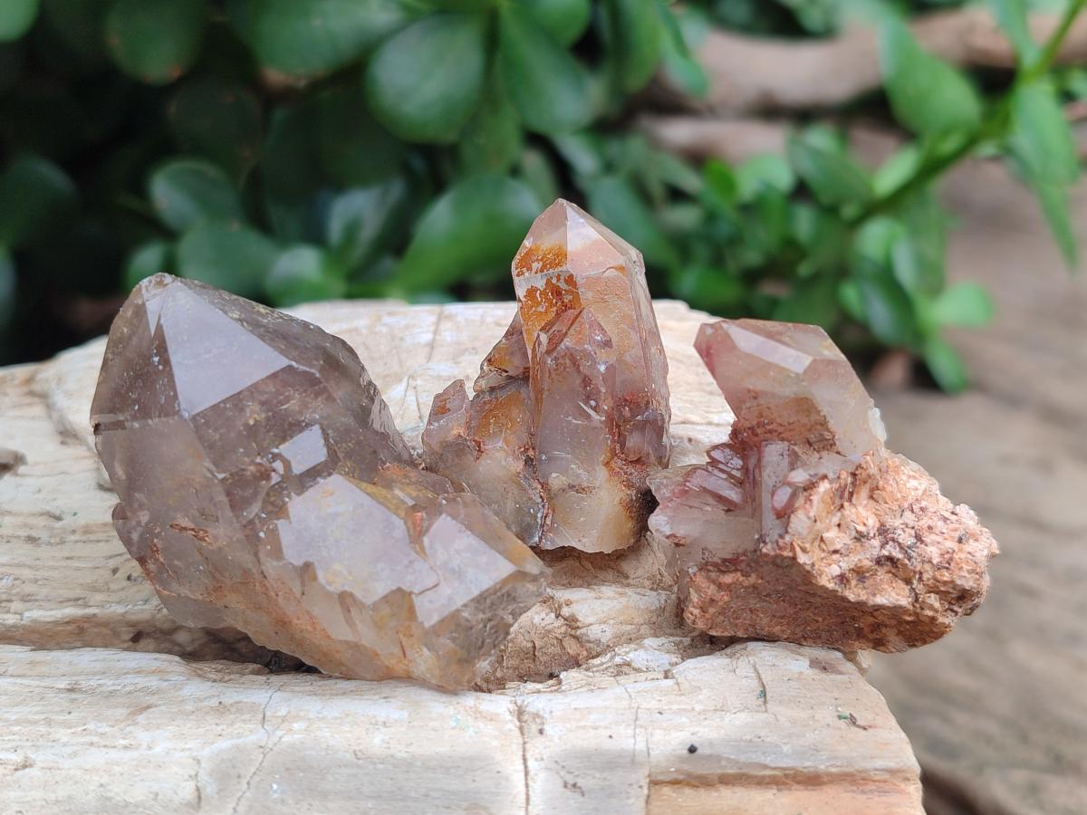 Natural Red Hematoid Quartz Single Crystals x 70 From Karoi, Zimbabwe - Toprock Gemstones and Minerals 