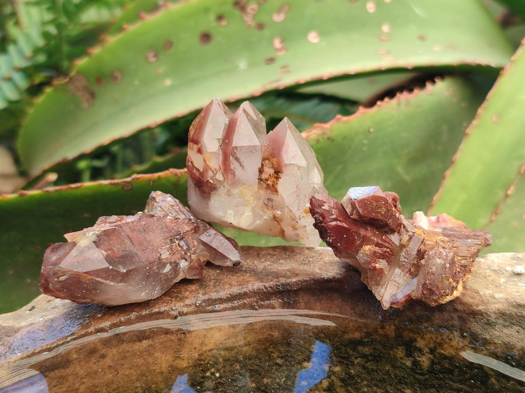 Natural Red Hematoid Quartz Single Crystals x 70 From Karoi, Zimbabwe - Toprock Gemstones and Minerals 