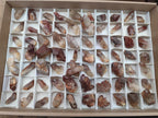 Natural Red Hematoid Quartz Single Crystals x 70 From Karoi, Zimbabwe - Toprock Gemstones and Minerals 