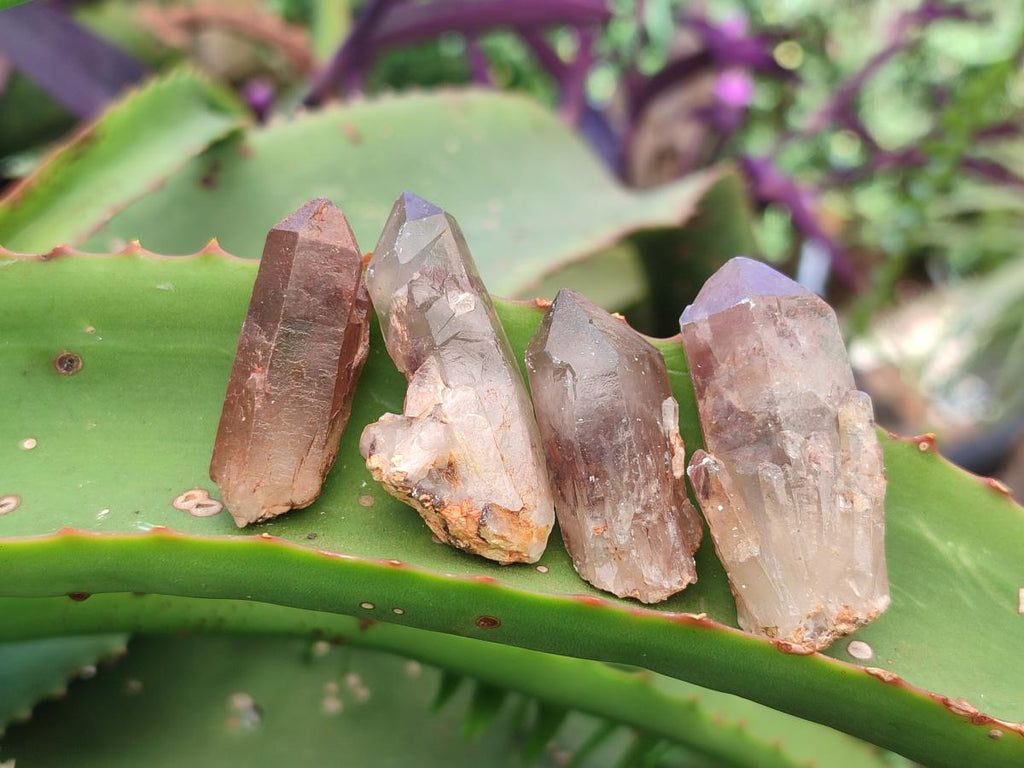 Natural Red Hematoid Quartz Single Crystals x 70 From Karoi, Zimbabwe - Toprock Gemstones and Minerals 