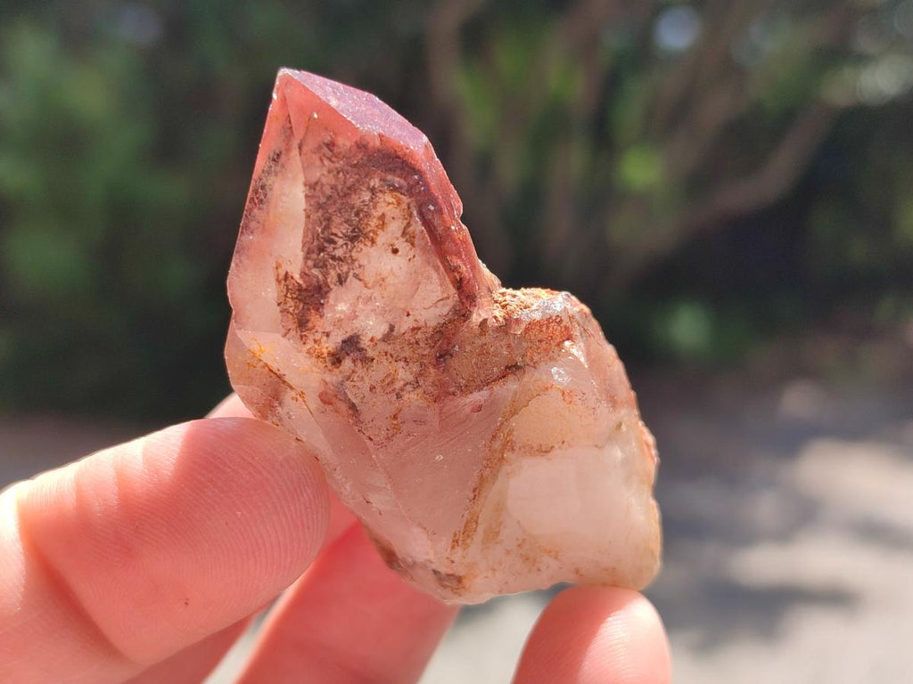 Natural Red Hematoid Quartz Single Crystals x 70 From Karoi, Zimbabwe - Toprock Gemstones and Minerals 