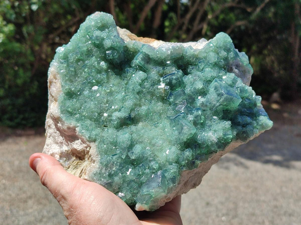 Natural Large Cabinet Size Cubic Green Fluorite Cluster Specimen x 1 From Mandrosonoro, Madagascar