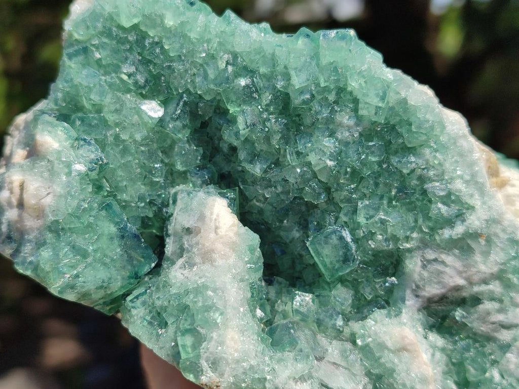 Natural Large Cabinet Size Cubic Green Fluorite Cluster Specimen x 1 From Mandrosonoro, Madagascar