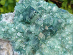 Natural Large Cabinet Size Cubic Green Fluorite Cluster Specimen x 1 From Mandrosonoro, Madagascar