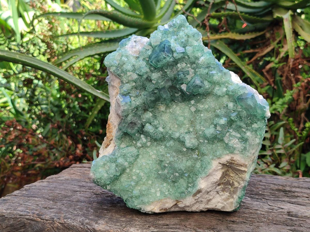 Natural Large Cabinet Size Cubic Green Fluorite Cluster Specimen x 1 From Mandrosonoro, Madagascar