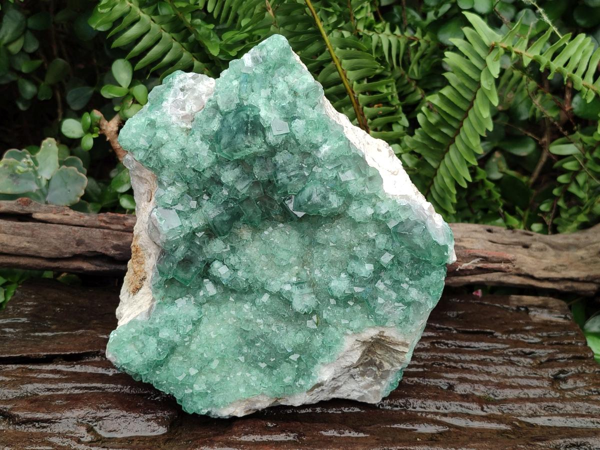 Natural Large Cabinet Size Cubic Green Fluorite Cluster Specimen x 1 From Mandrosonoro, Madagascar