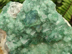 Natural Large Cabinet Size Cubic Green Fluorite Cluster Specimen x 1 From Mandrosonoro, Madagascar