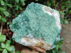 Natural Large Cabinet Size Cubic Green Fluorite Cluster Specimen x 1 From Mandrosonoro, Madagascar