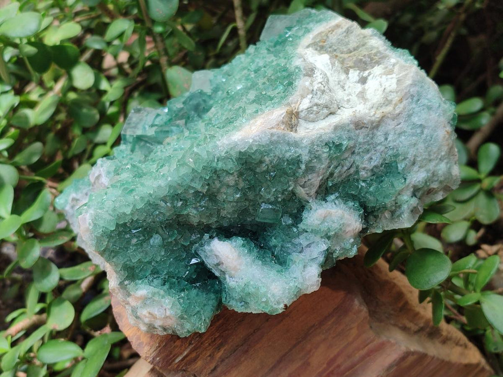 Natural Large Cabinet Size Cubic Green Fluorite Cluster Specimen x 1 From Mandrosonoro, Madagascar