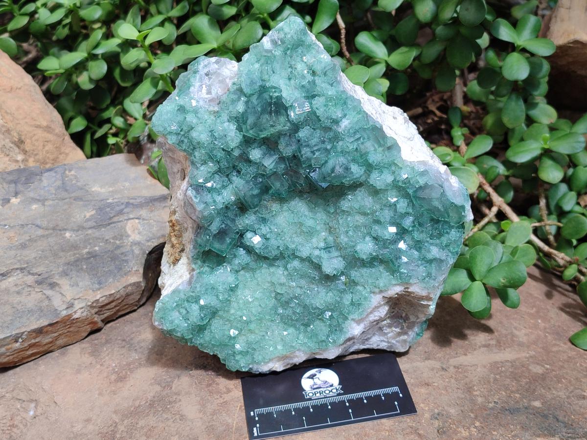 Natural Large Cabinet Size Cubic Green Fluorite Cluster Specimen x 1 From Mandrosonoro, Madagascar