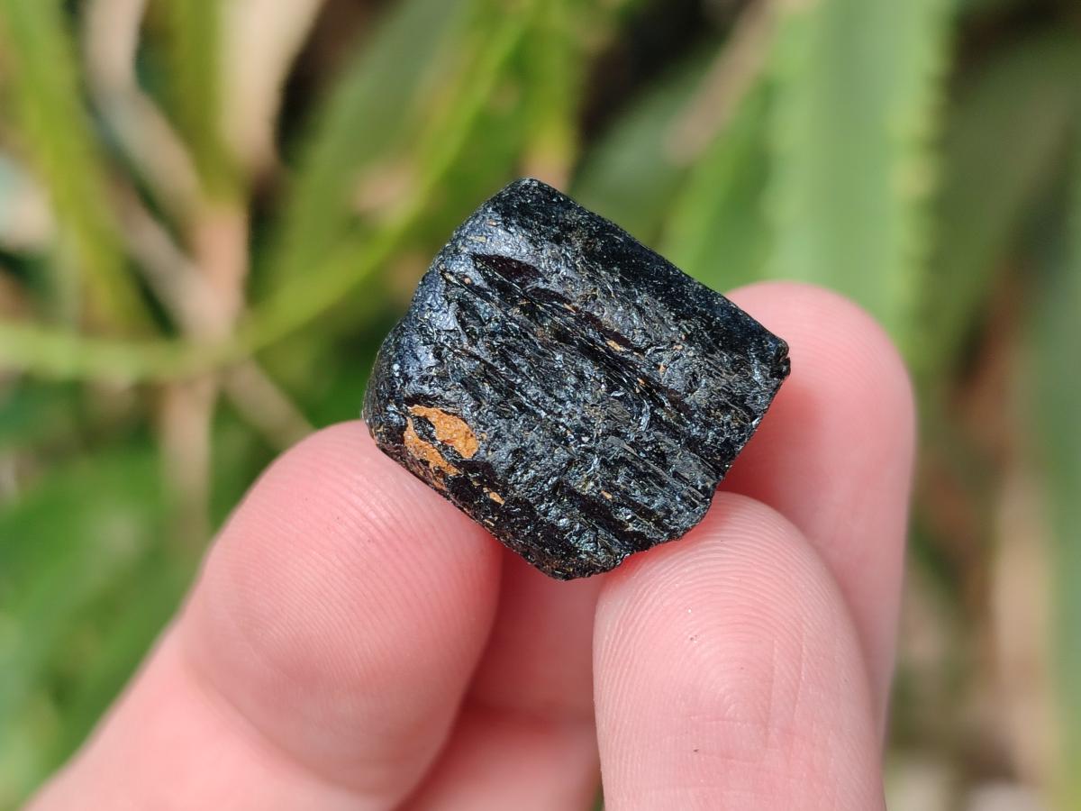 Natural Mini Schorl Black Tourmaline Crystals x 1,61 Kg Lot From Zimbabwe