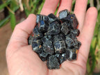 Natural Mini Schorl Black Tourmaline Crystals x 1,61 Kg Lot From Zimbabwe