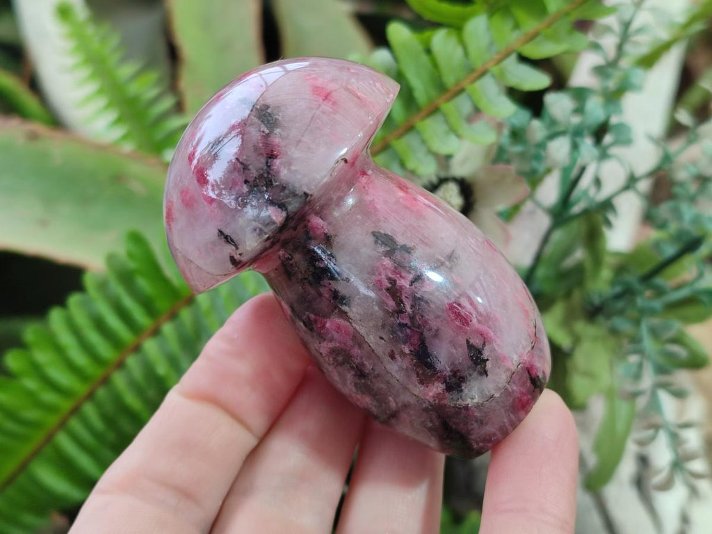 Polished Rhodonite Gemstone Mushrooms x 6 From Ambindavato, Madagascar
